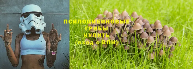 Галлюциногенные грибы Magic Shrooms  Саки 